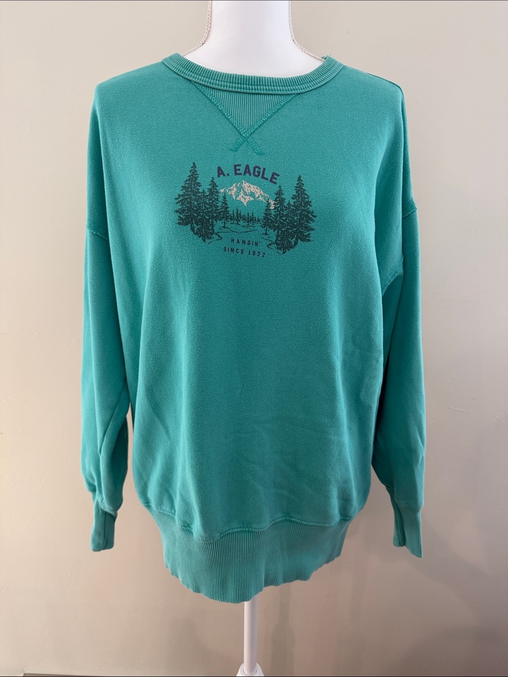American Eagle Women's XS Aqua Crewneck Sweatshirt